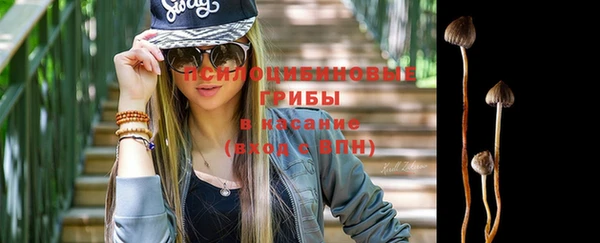 ешки Медногорск