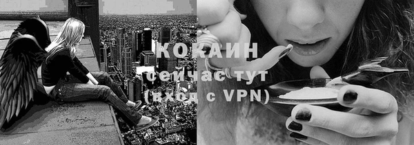 мяу мяу мука Медвежьегорск