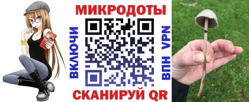 мега маркетплейс  Новоржев  Галлюциногенные грибы Psilocybine cubensis 